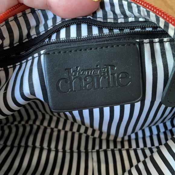 Charming Charlie crossbody bag - Picture 4 of 4